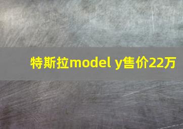 特斯拉model y售价22万